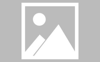 防城港新区景区网站建设（in art criticism,you must assume）